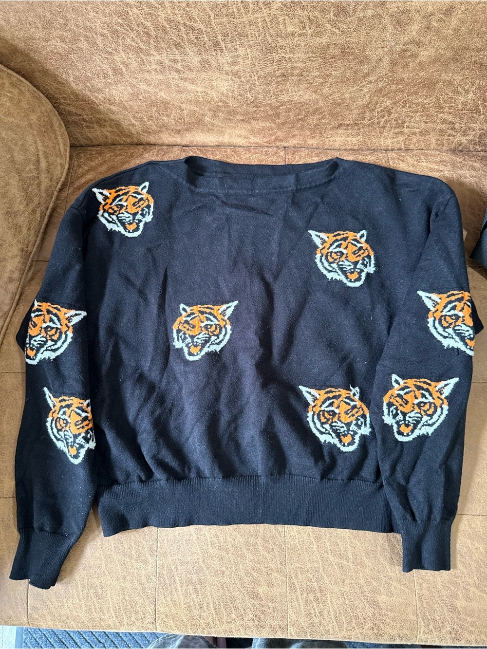 Dressed in LALA Tiger Motif Crewneck Sweater